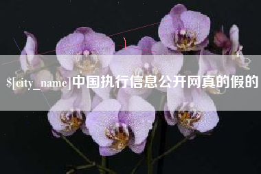 陇南中国执行信息公开网真的假的