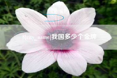 陇南我国多少个金牌