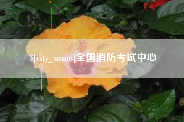 陇南全国消防考试中心