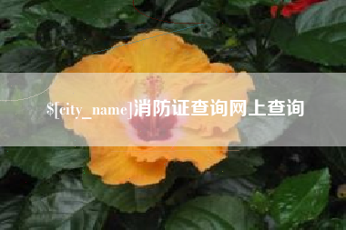 陇南消防证查询网上查询