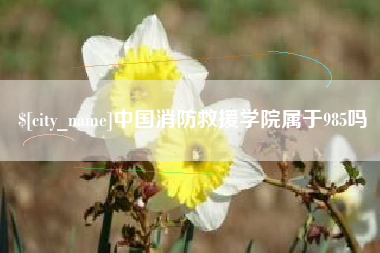 陇南中国消防救援学院属于985吗