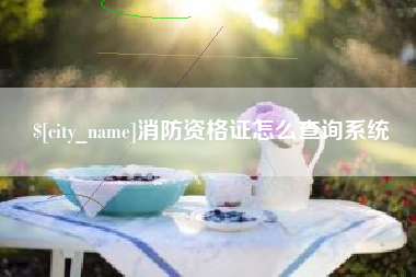 陇南消防资格证怎么查询系统