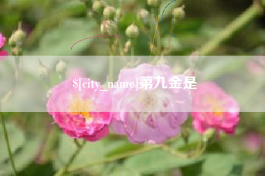 陇南第九金是