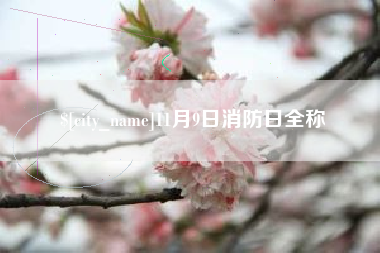 陇南11月9日消防日全称