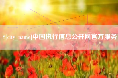 陇南中国执行信息公开网官方服务