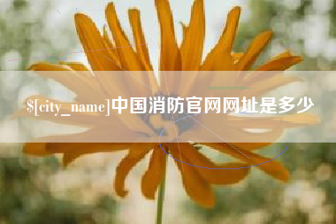 陇南中国消防官网网址是多少