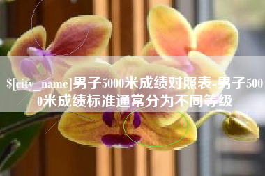 陇南男子5000米成绩对照表-男子5000米成绩标准通常分为不同等级