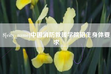 陇南中国消防救援学院招生身体要求