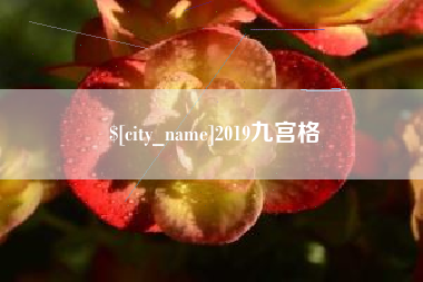 陇南2019九宫格
