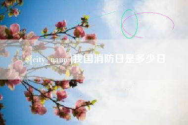陇南我国消防日是多少日
