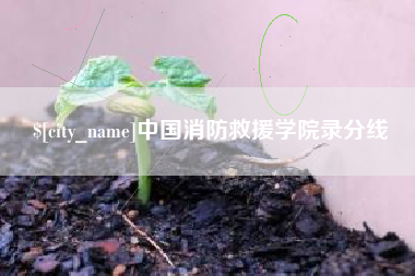 陇南中国消防救援学院录分线