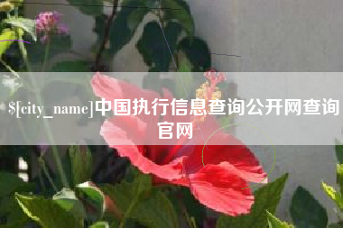 陇南中国执行信息查询公开网查询官网