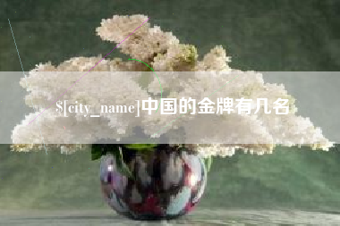 陇南中国的金牌有几名