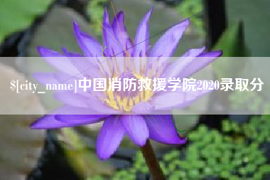 陇南中国消防救援学院2020录取分