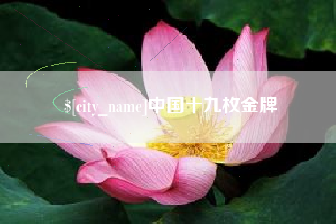 陇南中国十九枚金牌