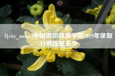 陇南中国消防救援学院2019年录取分数线是多少