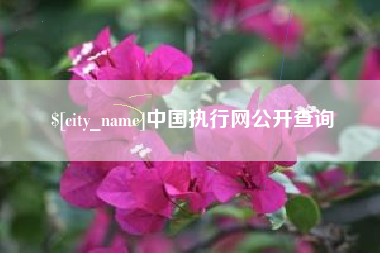 陇南中国执行网公开查询