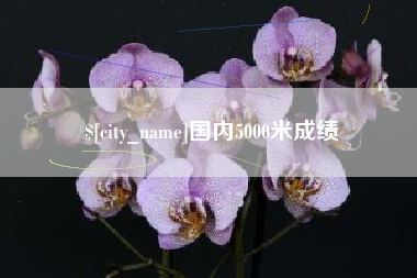 陇南国内5000米成绩
