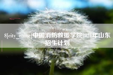 陇南中国消防救援学院2021年山东招生计划