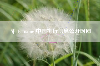陇南中国执行信息公开网网