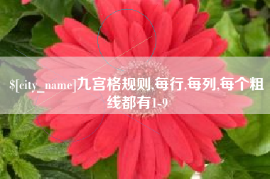 陇南九宫格规则,每行,每列,每个粗线都有1-9