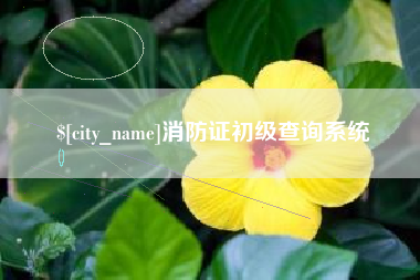 陇南消防证初级查询系统