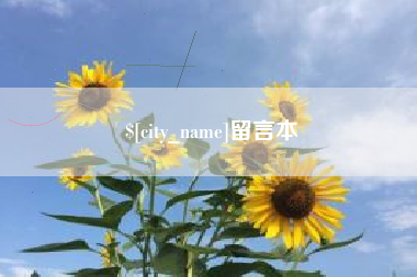 陇南留言本