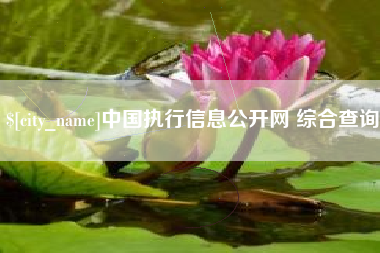 陇南中国执行信息公开网 综合查询