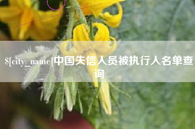 陇南中国失信人员被执行人名单查询