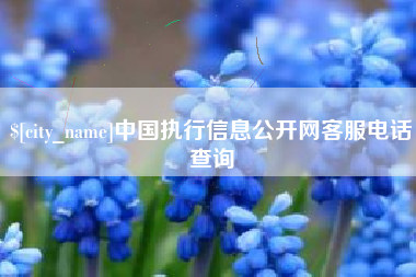 陇南中国执行信息公开网客服电话查询