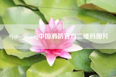 陇南中国消防官方二维码图片