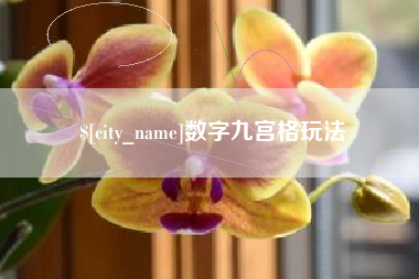 陇南数字九宫格玩法