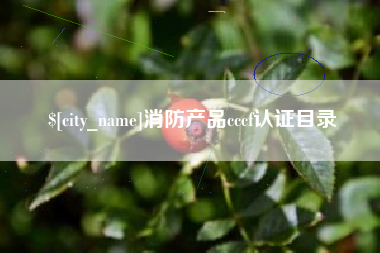 陇南消防产品cccf认证目录