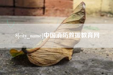 陇南中国消防救援教育网