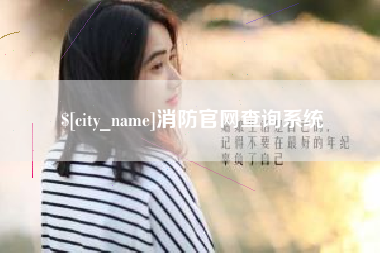 陇南消防官网查询系统