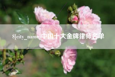 陇南中国十大金牌律师名单