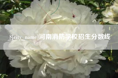 陇南河南消防学校招生分数线