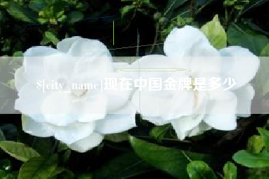 陇南现在中国金牌是多少