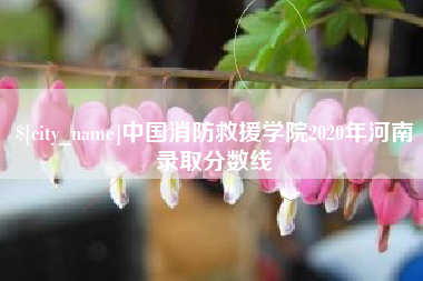 陇南中国消防救援学院2020年河南录取分数线
