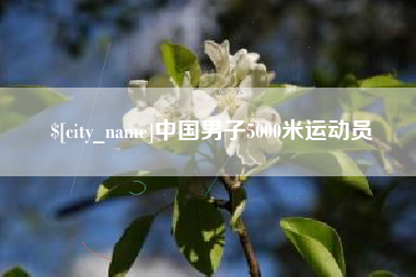 陇南中国男子5000米运动员