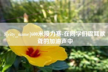 陇南600米接力赛-在同学们震耳欲聋的加油声中