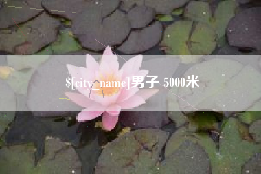 陇南男子 5000米