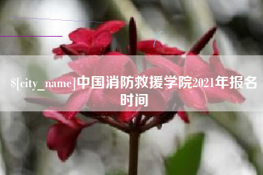 陇南中国消防救援学院2021年报名时间