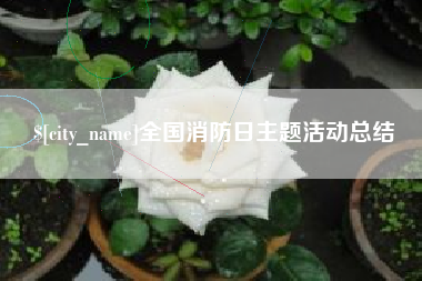 陇南全国消防日主题活动总结
