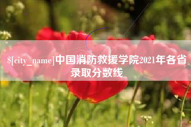 陇南中国消防救援学院2021年各省录取分数线