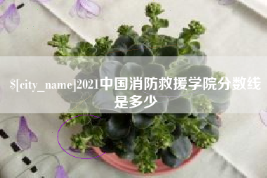 陇南2021中国消防救援学院分数线是多少