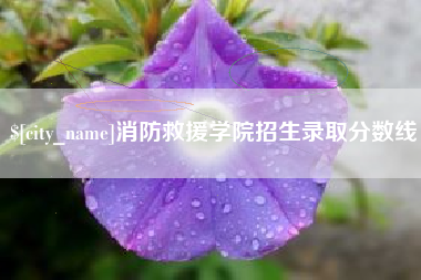 陇南消防救援学院招生录取分数线