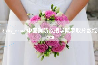 陇南中国消防救援学院录取分数线2020