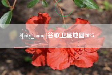 陇南谷歌卫星地图2025