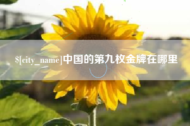 陇南中国的第九枚金牌在哪里